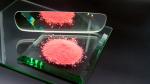 Glass polishing powder for glass processing machine use red color
