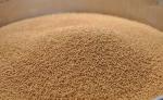 Ceramsite Sand Industrial Production Line Easy Installation Long Service Life