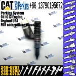 C11 C13 Fuel Injector 249-0713 249-0705 249-0707 for cat caterpillar excavator