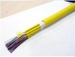 FRP Shielded Fiber Optic Cable FTTH Drop Cable Easy To stall inddor cable