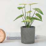 Ornamental Eucalyptus Grass Foliage In Purple Philodendron Birkin Decoration
