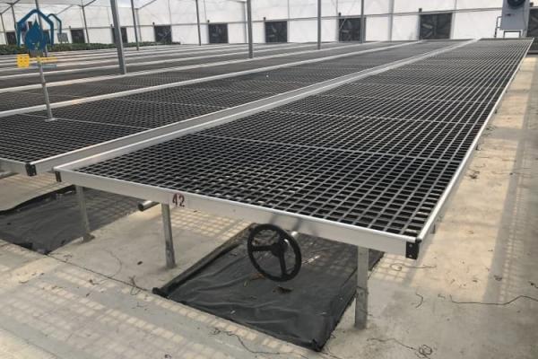 Greenhouse Movable Plastic Seedling Tray Rolling Bench Seedbed For Orchid