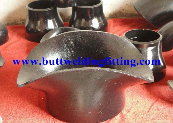 Carbon Steel Saddle Previously / Sweepolet Flexibility SS Stub End Polishing