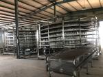 Automatic Bakery Machine Bread Spiral Cooling Tower Conveyor Price