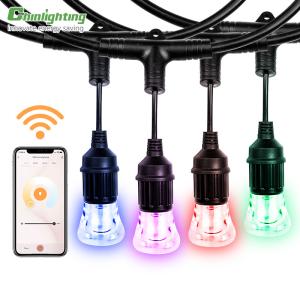 China Smart WIFI 24ft Outdoor Bulb String Lights Hanging Garden Light Bulbs on sale