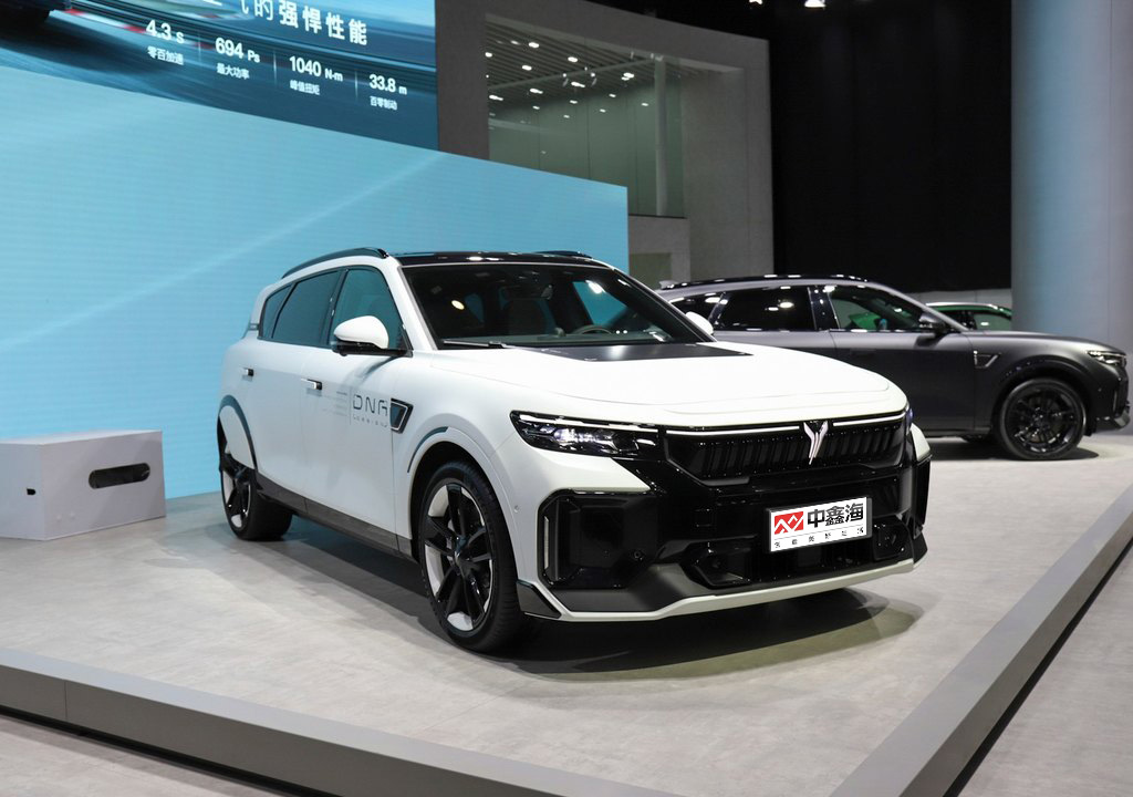 2022 Factory Direct Sales High Quality 4 Seats Cheap Electric Adult Car 4 Wheel VOYAH FREE 2022 DNA Design Pure Electric Edition