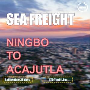 Wholesale Ningbo To Acajutla Salvador Global Ocean Freight Brokers 3 Shifts Per Week from china suppliers