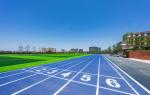 Recycled Synthetic Running Track Surface Material EPDM Rubber Granules