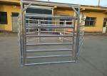 Sturdy Steel Cattle Fence , Horse Corral Panels For Horse / Cow / Sheep