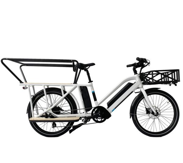 20 Inch Wheel Disc Brake Cargo E Bike 48V 500W With 14.5Ah 21Ah 24.5Ah Lithium