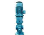 3GCL50×2W3 3GCL50×2W3 Three Spindle Screw Pump
