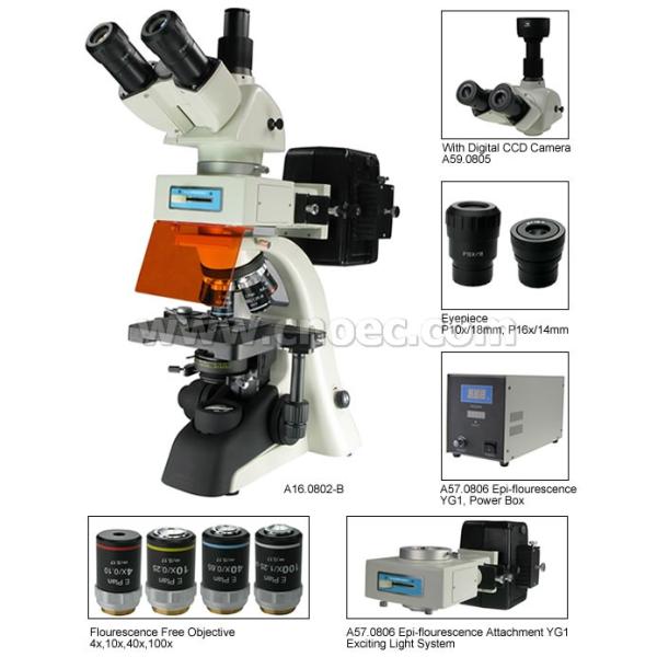Fluorescence Trinocular Microscope , 40X - 1600X A16.0802 Compound Microscopes