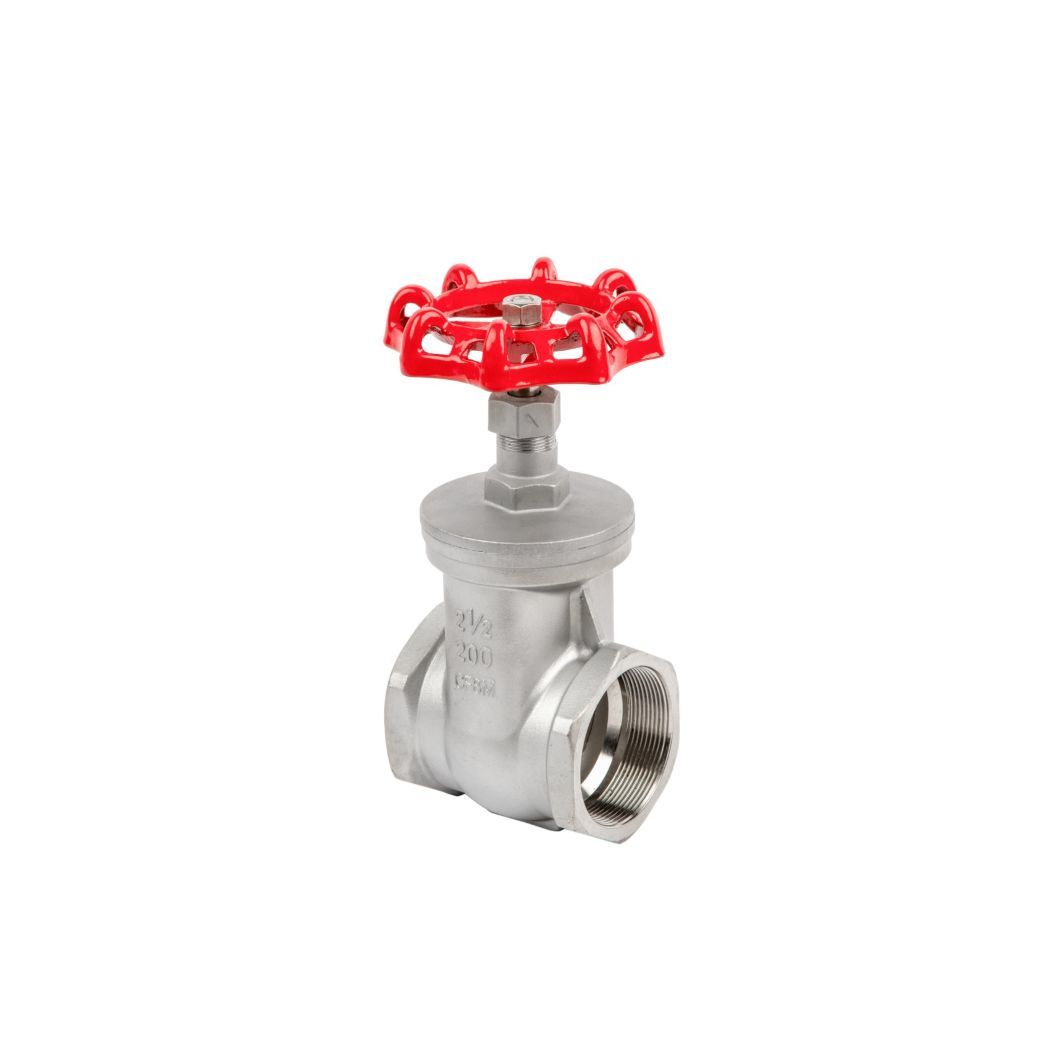 Investment Casting Stainless Steel Screwed Gate Valves