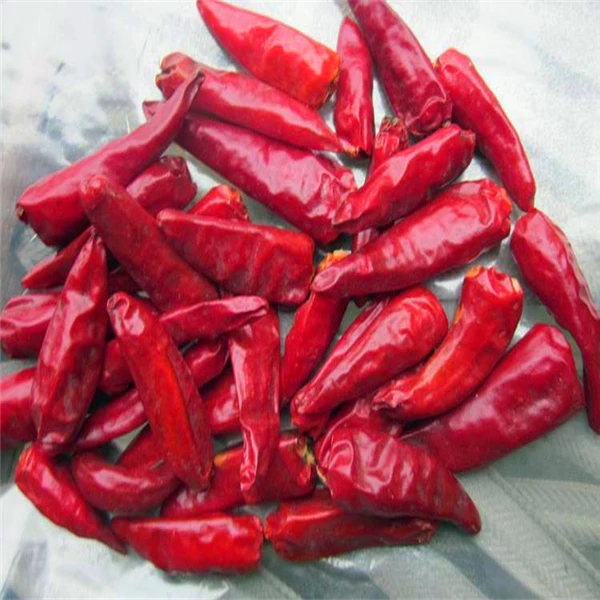 Single Herb Bullet Red Chili with 2% Broken Rate
