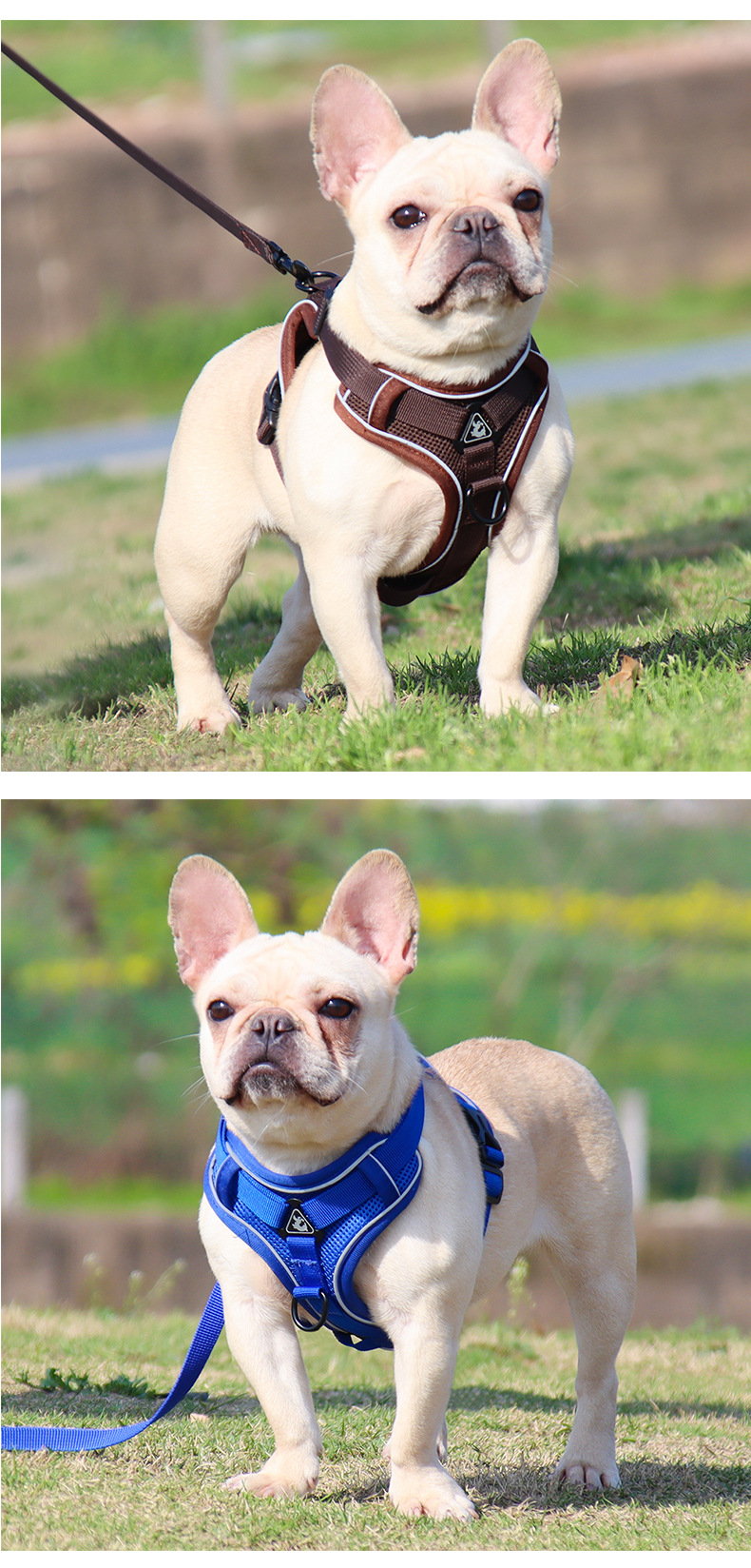 Dog Harness Vest Breathable Mesh Reflective Sport Comfortable Outdoor Activities