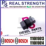 BOSCH Control Valve relief valve 1110010013 1110010014 1110010026 1110010027