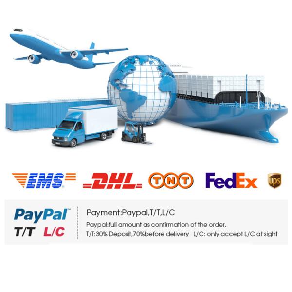 Heat Transfer Small A2 DTF Printing Machine Customizable