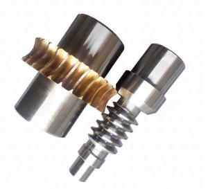 China Non Standard Worm Gear Worm Wheel Stainless Steel Material 2 Module on sale