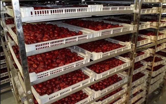Processed Industrial Vegetable Drying Machine Equipment In Food Industry 380V