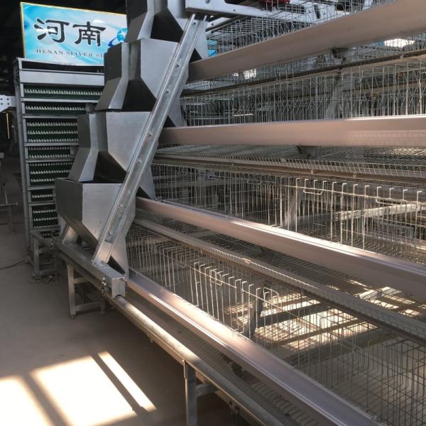 1950×2300×2000 Automatic Layer Battery Poultry Chicken Cage Chicken Layer Farming Equipment