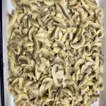 A10 Canned Mushroom Champignon Brined Champignon Mushrooms For Catering