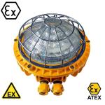 220V LED Security Flood Light