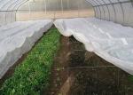 Coating PP Agriculture Non Woven Fabric Anti Aging Customized Width