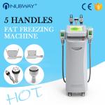 Body Slimming Shaping Cryolipolysis Body Slimming Machine Beautician Use