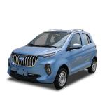 China raysince factory hot sales model cars electric sedan 4 Seat 5 door new