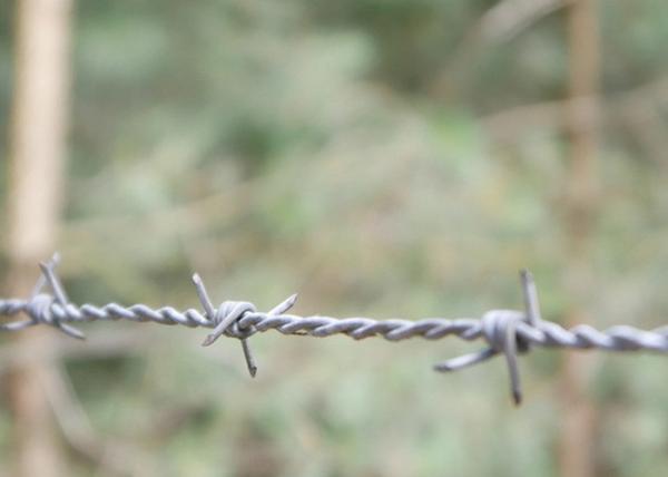 Farm Protection Double Strand Reverse Twist Hot Dipped Galvanized Barbed Wire