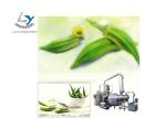 Automatic Vegetable Chips Making Machine , Vacuum Okra Chips Fryer Machine