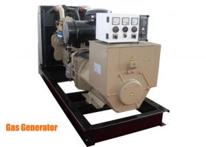 Wholesale Cummins engine Stamford Natural Gas Powered Generator 50 / 60hz for oil field from china suppliers