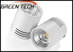 Wholesale High Power COB LED Down Light For Mall Lighting 110V 30W 100lm/w from china suppliers