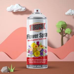 China 400ml Aerosol Spray Paint For Real Flower Natural Flower Colouring Spray on sale