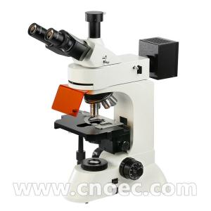 Wholesale Trinocular Infinity Plan Fluorescence Microscope 40x - 1000x A16.0207 from china suppliers