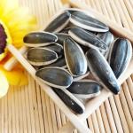 Sunflower Seeds 5009 The Perfect Match for Your Customer Requirements
