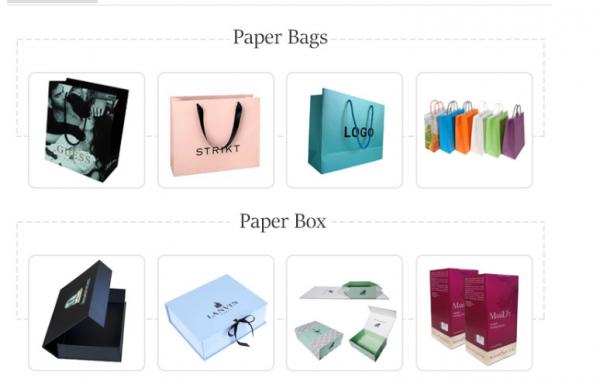 Delicate Design Custom Printed Paper Bags / Paper Merchandise Bags OEM / ODM Available