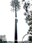 15m 35m Pine Tree Cell Phone Tower Camouflaged Communication