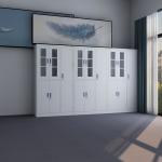 Thickness 1.0mm Metal Document Cabinet With Clothes Locker
