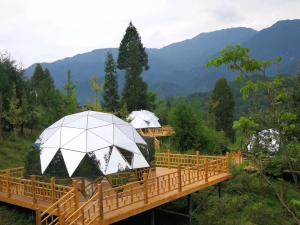 Wholesale Luxurious Aluminum Frame Ball Glass Dome Tent Star Canopy 3 Meters from china suppliers