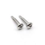 DIN 7504 N Pan Head Self Tapping Phillips Screws Stainless Steel 304