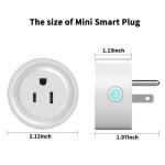 OEM Tuya Smart Plug Wi-Fi Phone App Control Socket