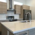 End Villa Apartment Wooden Kitchen Furniture Cabinets Set with Waterproof