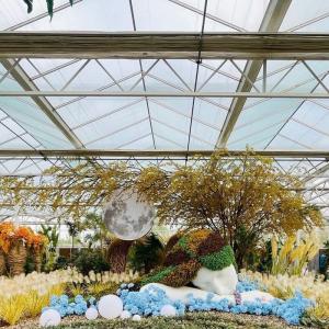 Wholesale Single Layer Glass Greenhouse for Vegetable Farming Enhance Your Farming Efficiency from china suppliers