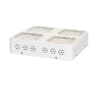 Wholesale PMMA Optics SMD3030 P120 120W Led Plant Grow Light from china suppliers