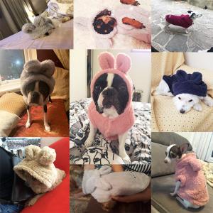 Wholesale Winter Custom Dog Hoodies , Cold Proof Small Dog And Cat Clothes from china suppliers