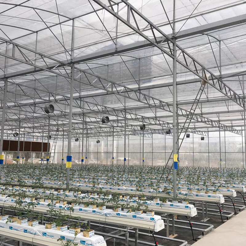 LiTai Multi-Span Film Greenhouse 10-100m Length for Hydroponic Microgreens Harvesting