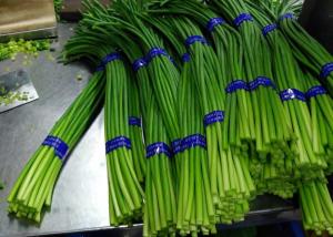 China New Crop Chinese Fresh Garlic Bolt on sale