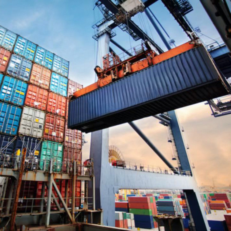 Container RORO Global Shipping Services From Shenzhen Logistics Company