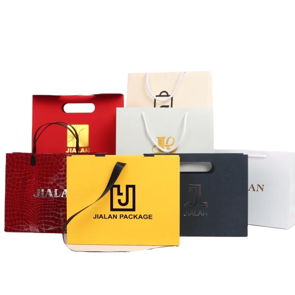 Jewelry Gift Paper Shopping Bag with Custom Logo and Hand Length Handle Luxury